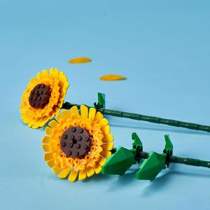 Produktbild für Klemmbausteine LEGO Botanicals 40524, ab 8 Jahre