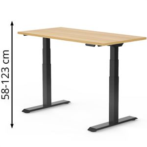 Schreibtisch FlexiSpot E7B 2026, ahorn / schwarz