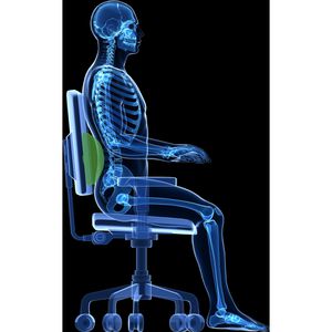 Produktbild für Rückenstütze DESQ 1332