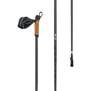 Produktbild für Nordic-Walking-Stöcke One-Way Team 4, je 108 g