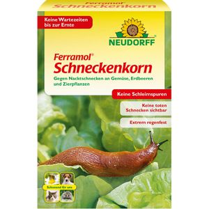 Schneckenkorn