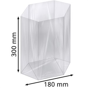 Produktbild für Geschenktüte Folia 483/00 neutral transparent