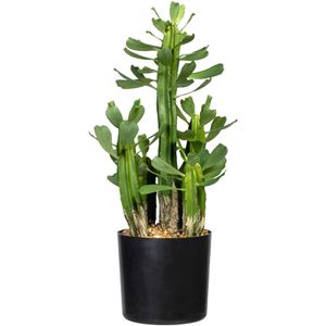 Kunstpflanze Creativ-green Euphorbia