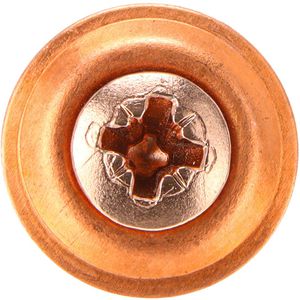 Produktbild für Spenglerschrauben Dresselhaus Edelstahl verkupfert