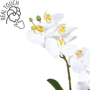 Produktbild für Kunstblume Creativ-green Orchidee, Phalaenopsis
