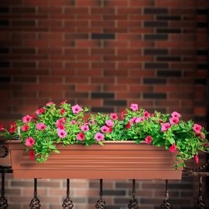 Produktbild für Blumenkasten Plastard Milano 60, terrakotta