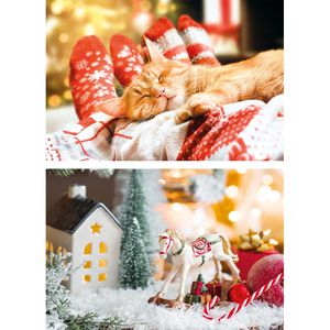 Produktbild für Weihnachtskarte Böttcher-AG Fotomotive sortiert