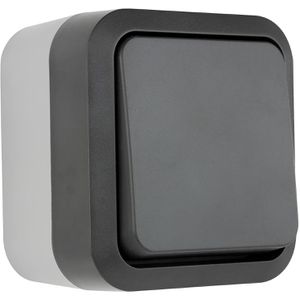 Produktbild für Lichtschalter REV-Ritter AquaStorm, grau