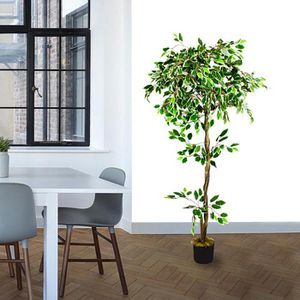 Produktbild für Kunstpflanze Decovego Weißer Ficus Benjamin