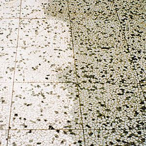 Produktbild für Steinreiniger HG Terrassenplatten Reiniger