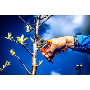Produktbild für Gartenschere Original-LÖWE 8.107, Amboss mit Bypass-Geometrie