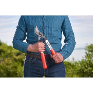 Produktbild für Astschere FELCO 211-40