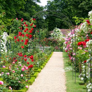 Produktbild für Rosenbogen Relaxdays 10018869, dunkelgrün