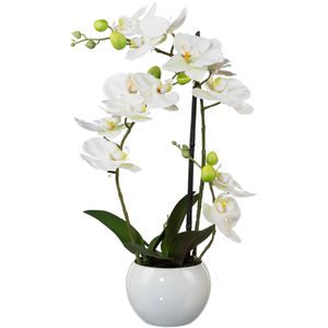 Kunstblume Creativ-green Orchidee, Phalaenopsis