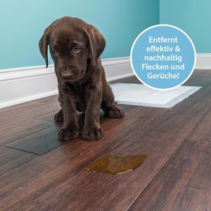 Produktbild für Enzymreiniger ARKA PGD750G, PIPI-WEG Hund