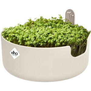 Produktbild für Anzuchtkasten elho Magic Microgreens, 17 x 7 cm
