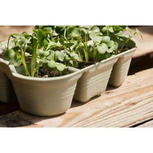 Produktbild für Anzuchttöpfe elho Green Basics Saatschale, 1 Stück