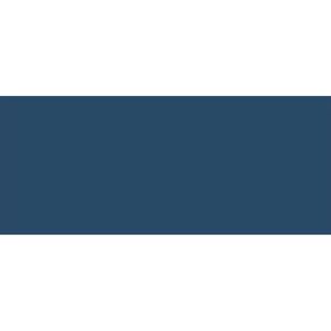 Produktbild für Acrylfarben Kreul 17025 Solo Goya Triton Acrylic