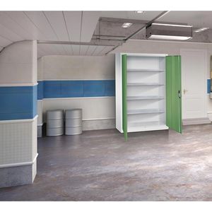 Produktbild für Werkzeugschrank CP-Möbel 8930-00, aus Metall, grau / grün