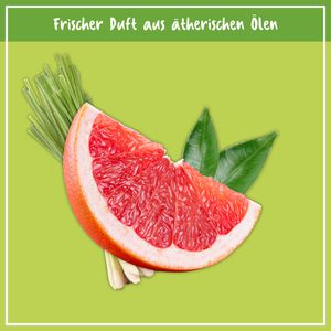 Produktbild für Bodenpflege Poliboy NCP, Konzentrat