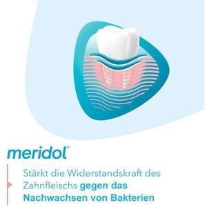 Produktbild für Mundspülung Meridol Zahnfleischschutz