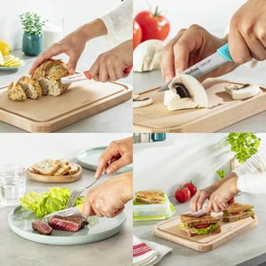 Produktbild für Messerset Tefal Colorfood K273S3 farbig