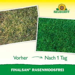Produktbild für Moosvernichter Neudorff Finalsan RasenMoosfrei, Konzentrat