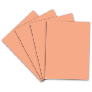 Produktbild für Kopierpapier Clairefontaine Evercolor, 40015C, A4