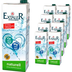 Produktbild für Mineralwasser Extaler-Mineralquell still, im Tetrapack