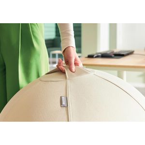 Produktbild für Sitzball Leitz Ergo Active, Anti-Wegroll-Funktion, bis 150 kg