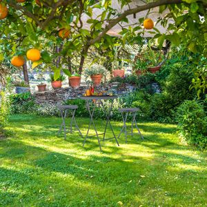 Produktbild für Klapphocker Relaxdays 10045728, Falthocker