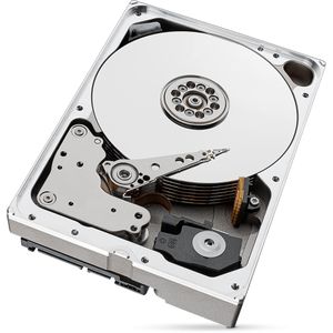 Produktbild für Festplatte Seagate IronWolf Pro NAS ST10000NT001