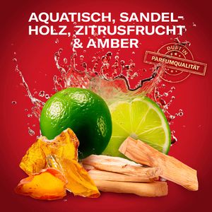 Produktbild für Duschgel Old-Spice Whitewater 3in1