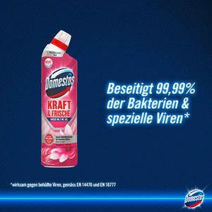 Produktbild für WC-Reiniger Domestos Kraft &amp; Frische Floral Fresh, Gel