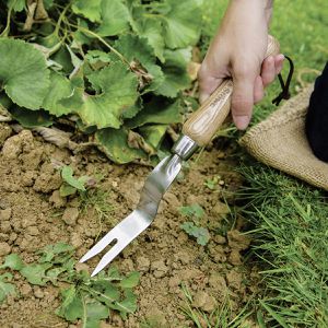 Produktbild für Unkrautstecher Kent&amp;Stowe 70100102, Wurzelstecher