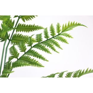 Produktbild für Kunstpflanze I.GE.A. Farnbusch