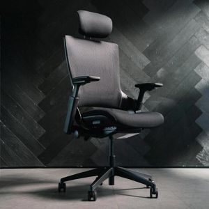 Produktbild für Bürostuhl Ergotopia NextBack, RGONB-S