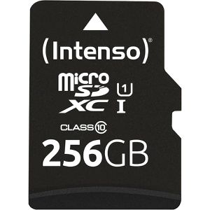 Micro-SD-Karte Intenso Professional 3433492, 256GB