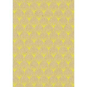 Produktbild für Geschenkpapier Clairefontaine 223813C, Neon
