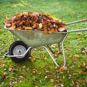 Produktbild für Schubkarrenrad Relaxdays 4.80/4.00-8, pannensicher Vollgummi