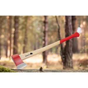 Produktbild für Axt Bison 2500 A ES 800
