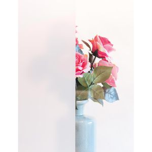 Produktbild für Fensterfolie d-c-fix Frost, selbsthaftend