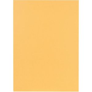 Produktbild für Aktendeckel Falken 80001233, A4, chamois