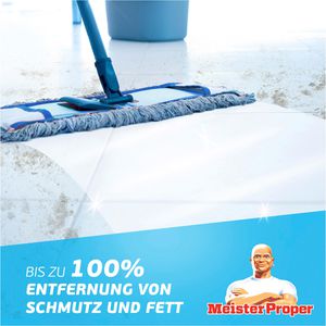 Produktbild für Allzweckreiniger Meister-Proper Frühlingserwachen