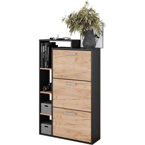 Schuhschrank Vicco Orlando, anthrazit / eiche