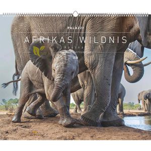 Produktbild für Bildkalender Palazzi Hautnah Afrikas Wildnis, 2026