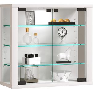 Produktbild für Glasvitrine VCM Vitrosa S, hängend