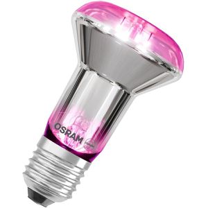 Pflanzenlampe