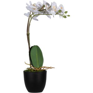 Kunstblume meet-powered-by-PAPERFLOW Orchidee