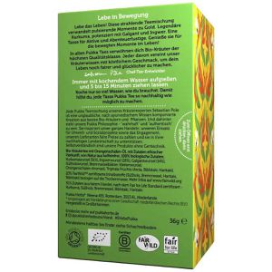 Produktbild für Tee Pukka Kurkuma Aktiv, BIO